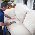 Pet Odor and Stain Carpet Cleaning Service Chino Carpet and Area Rug Cleaning