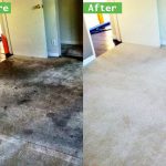 Thorough Carpet Cleaning and Maintenance Is a Necessary Task in Chino