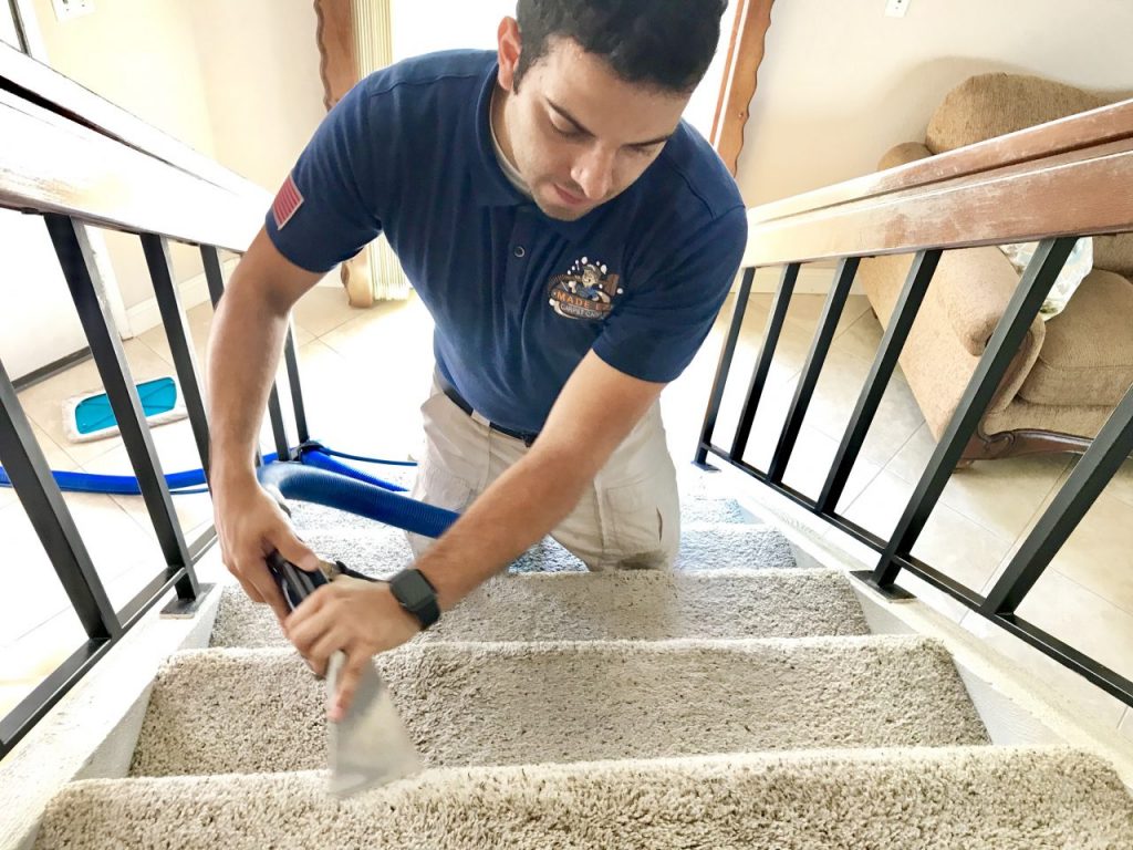 Carpet Cleaning Services in Chino County